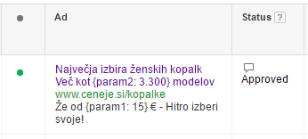 adwords-dynamic-parameters-jelena-rasula-4